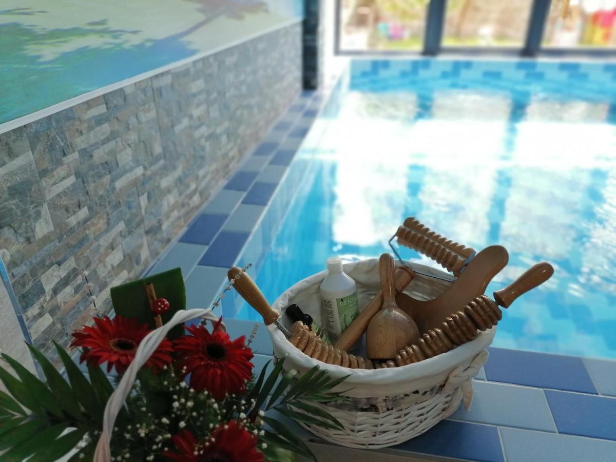 Vila Cair Doplata Za Bazen 소코 반자 외부 사진